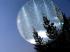 Looking thru the snowglobe